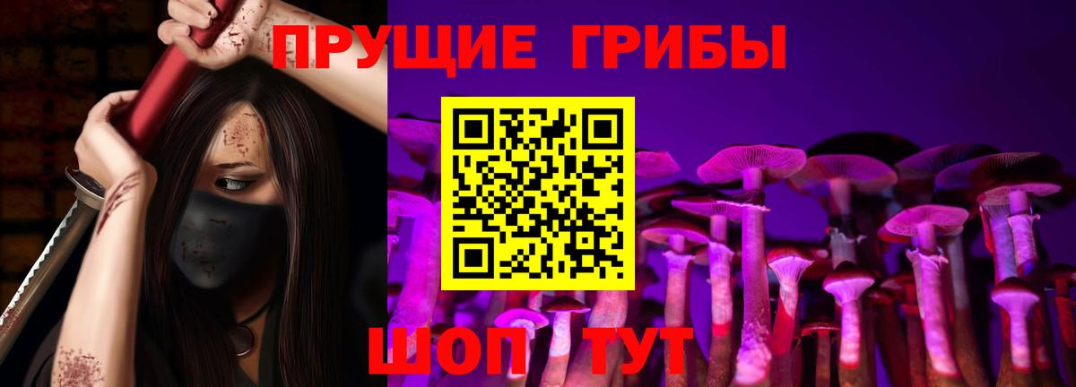 Владимир  Псилоцибиновые грибы Psilocybe  Псилоцибиновые грибы ЛСД  Вход с VPN 